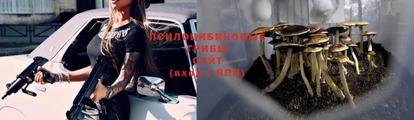 винт Богородицк