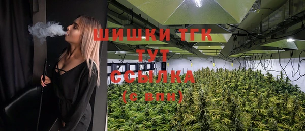 винт Богородицк