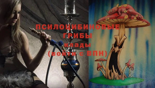винт Богородицк