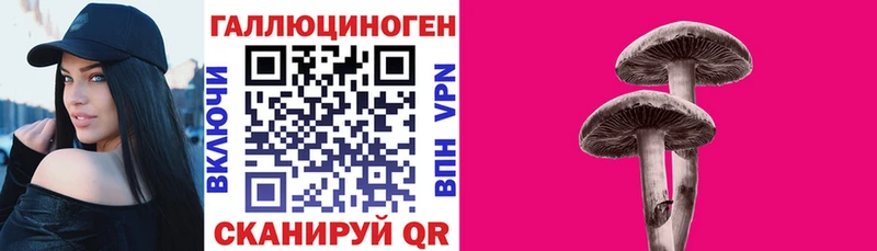 blacksprut онион  Городовиковск  Галлюциногенные грибы мухоморы 