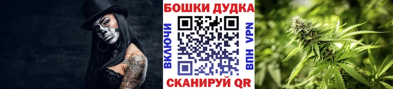 Бошки Шишки сатива  Городовиковск 